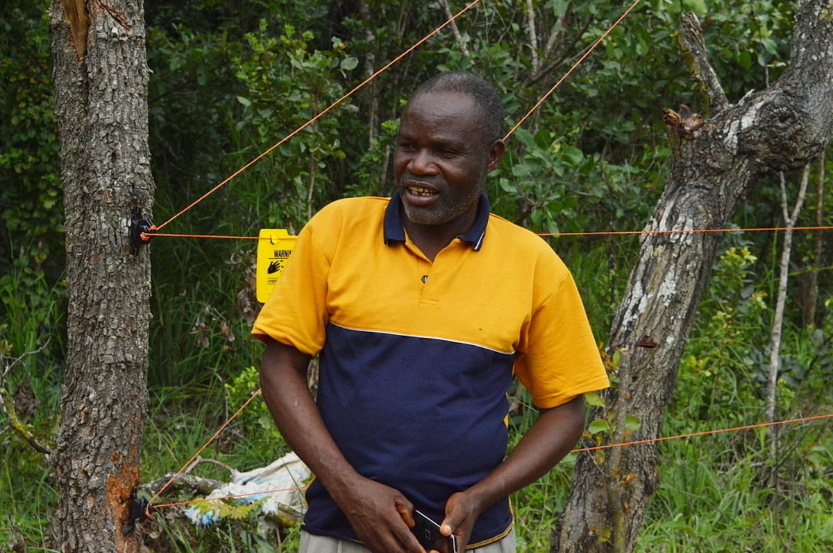 Electric Fences Help Elephants and Farmers Share Zambia Land - Image 4