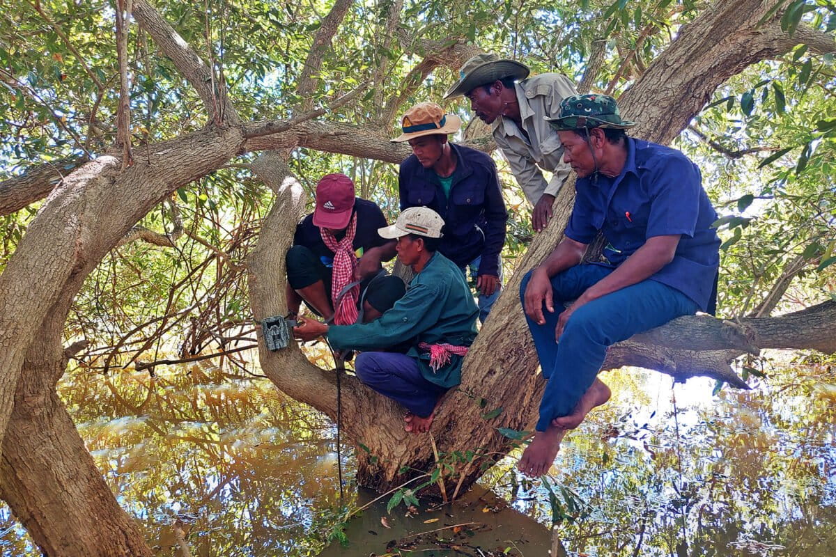 Cambodia Firefighters Save 158,000 Acres Using Satellites
