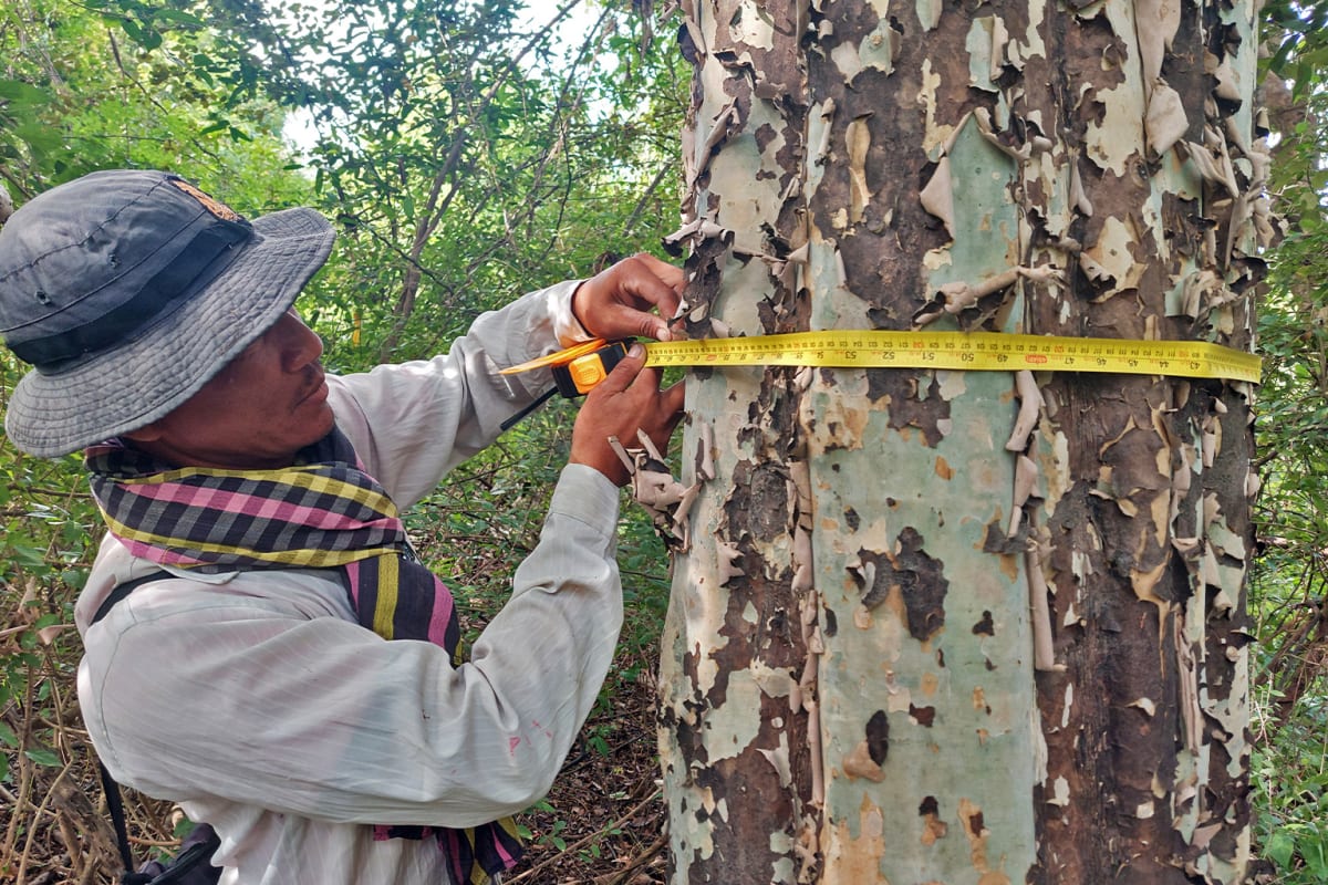 Cambodia Firefighters Save 158,000 Acres Using Satellites - Image 5