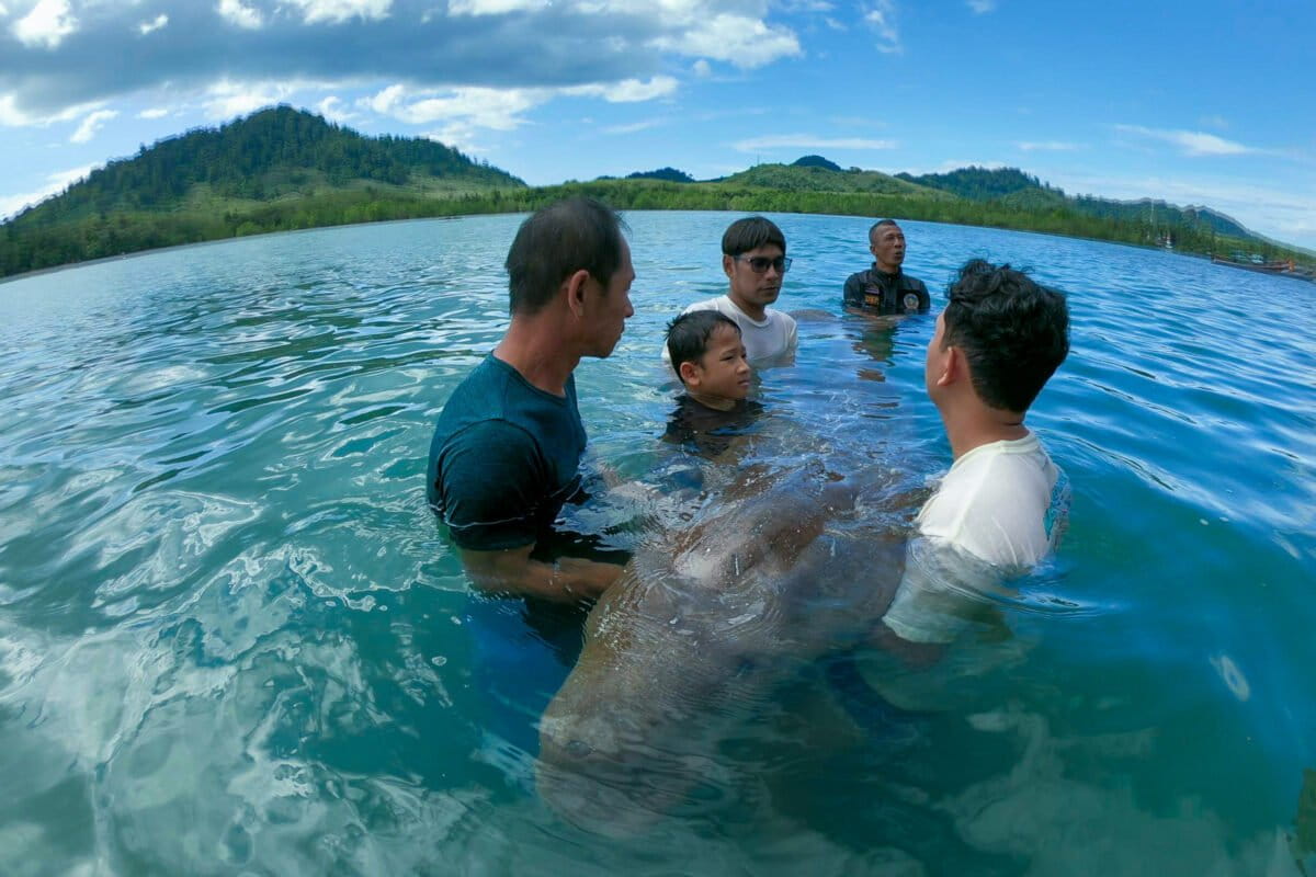Thai Island Community Fights Back to Save Beloved Dugongs - Image 2