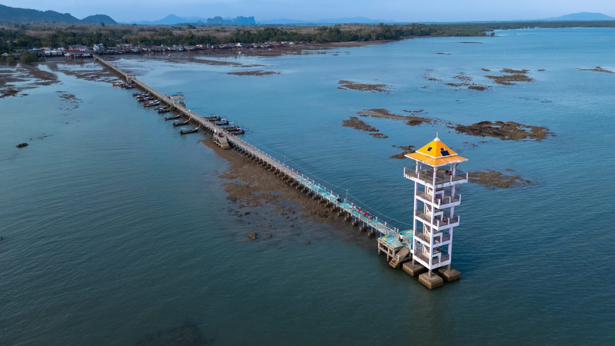 Thai Island Community Fights Back to Save Beloved Dugongs - Image 4