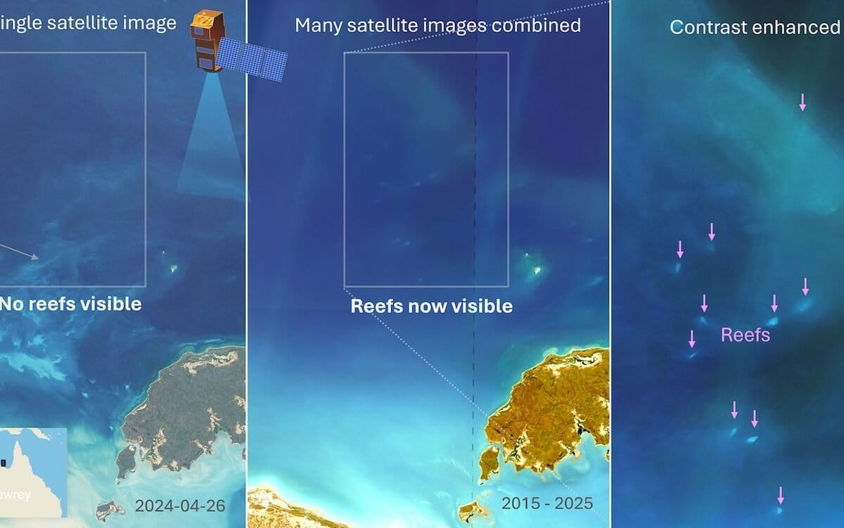 Scientists Map 1,000 Hidden Reefs Off Northern Australia - Image 2