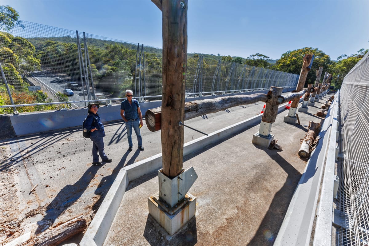 Australia Builds Wildlife Bridge Over Busy Highway - Image 4
