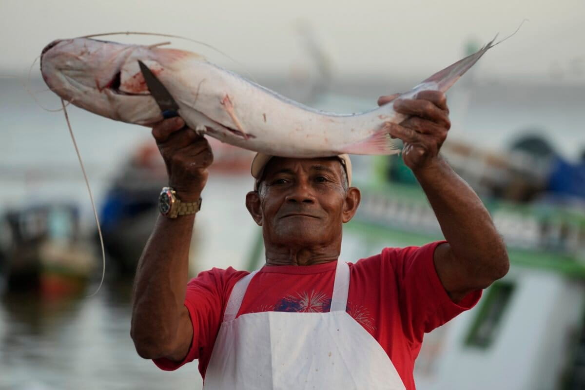 5 Amazon Nations Unite to Save Migratory Catfish - Image 2