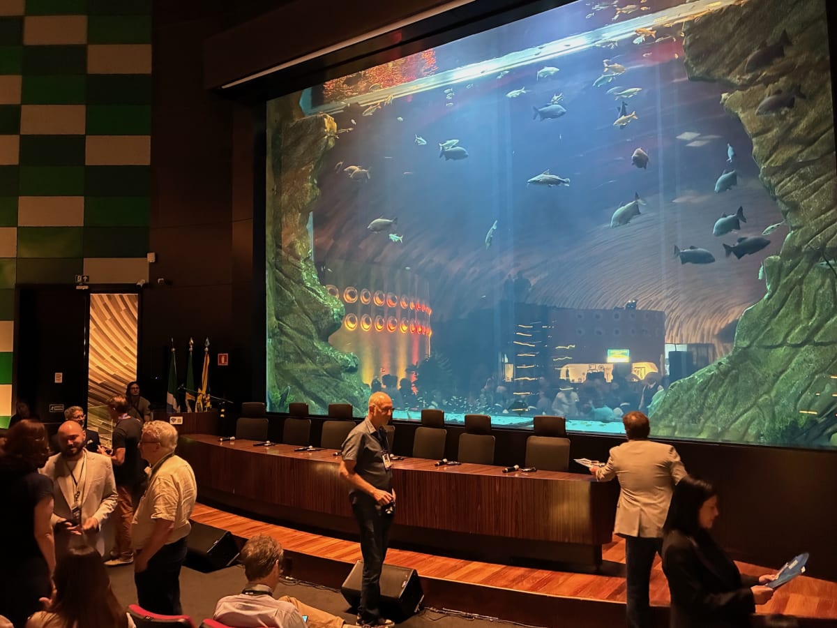 5 Amazon Nations Unite to Save Migratory Catfish - Image 4