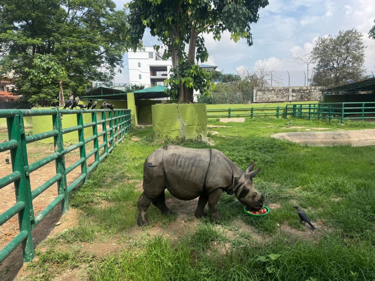 Nepal's $66M Zoo Project Gets Conservation Expert Takeover - Image 4