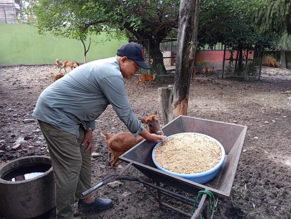 Nepal's $66M Zoo Project Gets Conservation Expert Takeover - Image 5