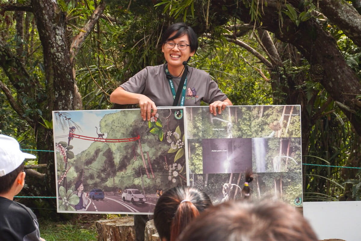 Fire Hoses Now Save Endangered Monkeys in Malaysia - Image 2