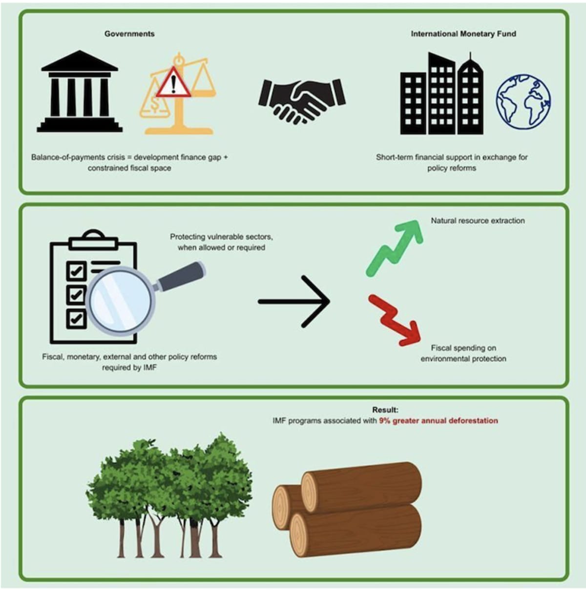 IMF Rethinks Loans After Forest Loss Link Found - Image 3