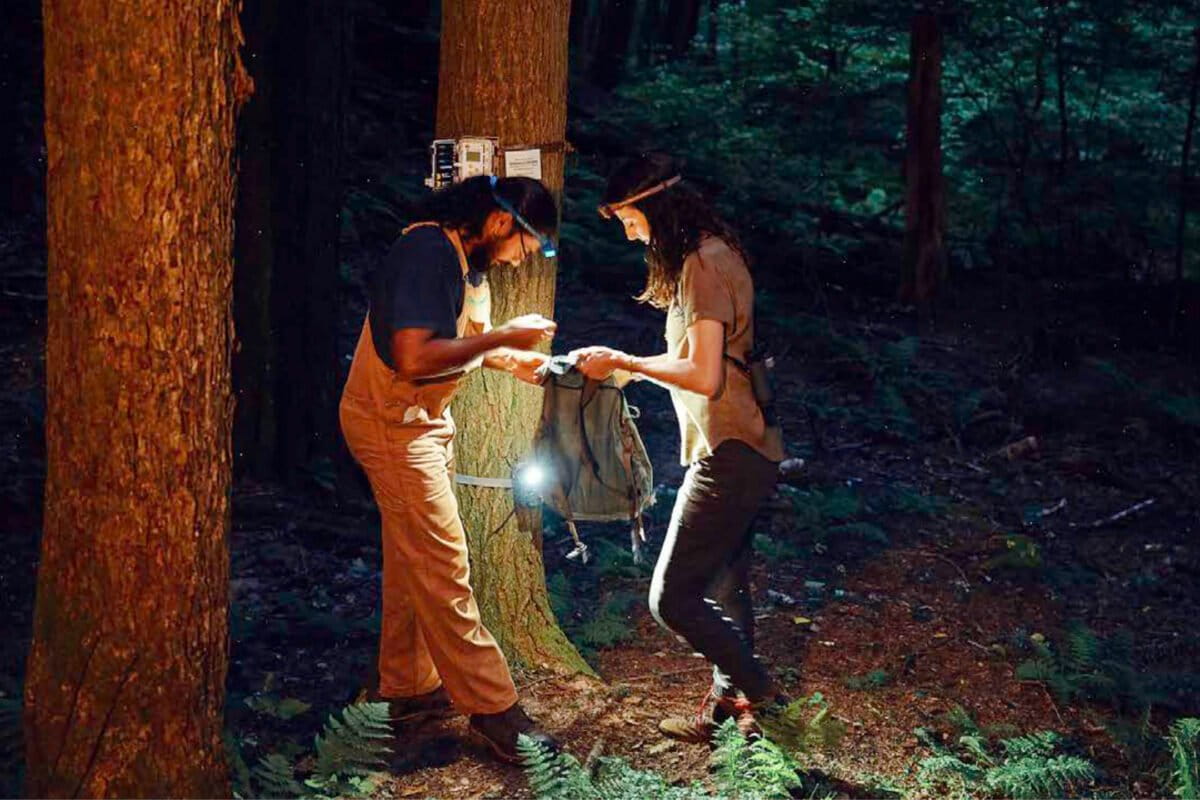 Scientists Race to Record Earth's Last Intact Forests - Image 2
