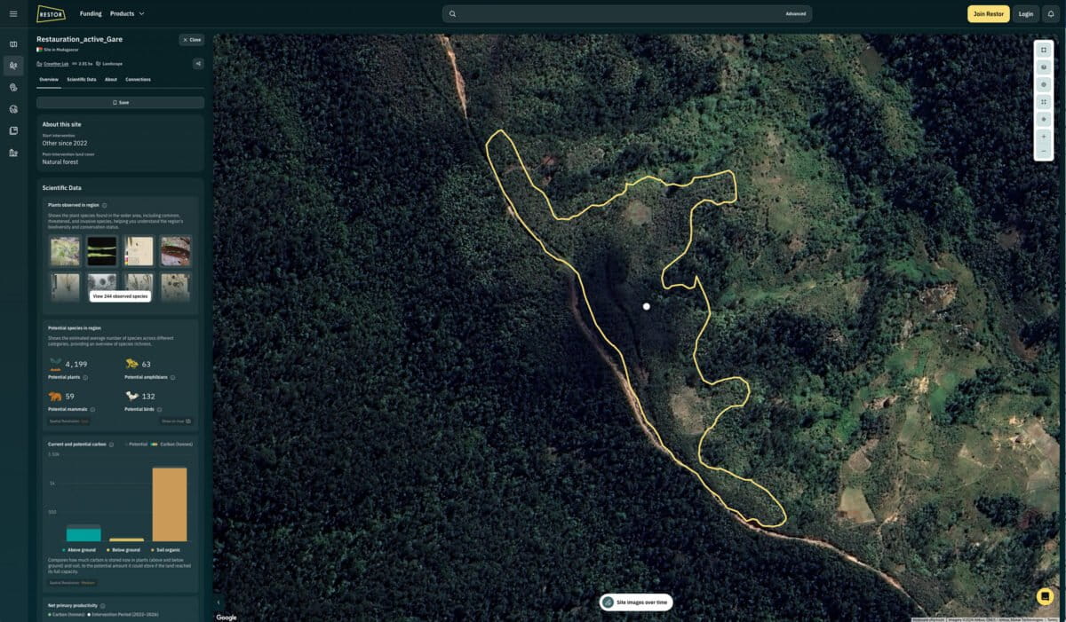 Ecologist Says Nature's Feedback Loops Can Heal the Planet - Image 4