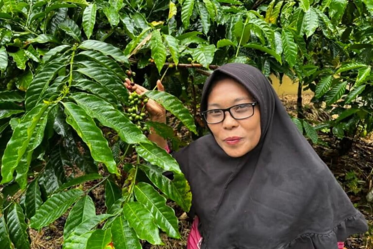 Indonesian Farmers Restore Forest While Growing Their Income - Image 4