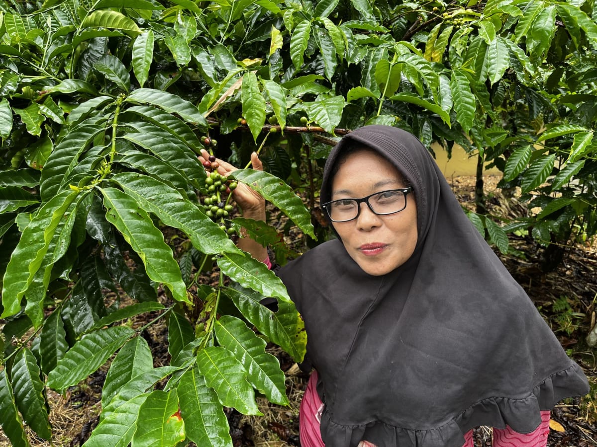 Indonesian Farmers Restore Forest While Growing Their Income