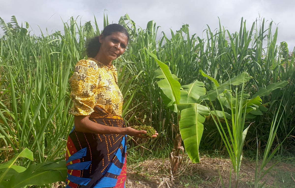 Malawi Farmer Builds Thriving Business from 9 Acres