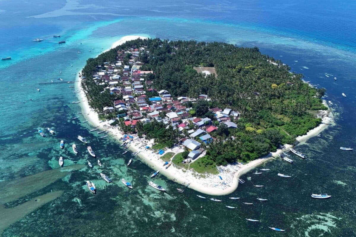 Indonesian Islands Revive Ancient Fishing Rules, Save Turtles - Image 2