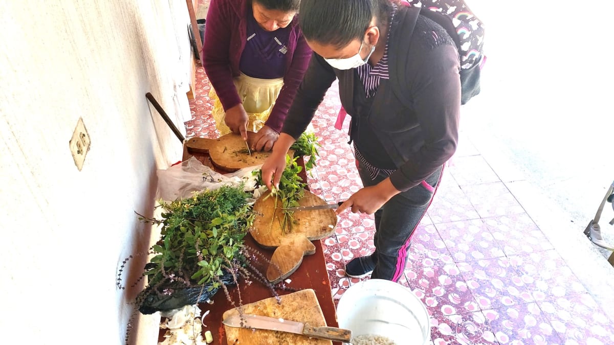 Guatemala Farmers Revive Ancient Maya Pest Solutions - Image 3