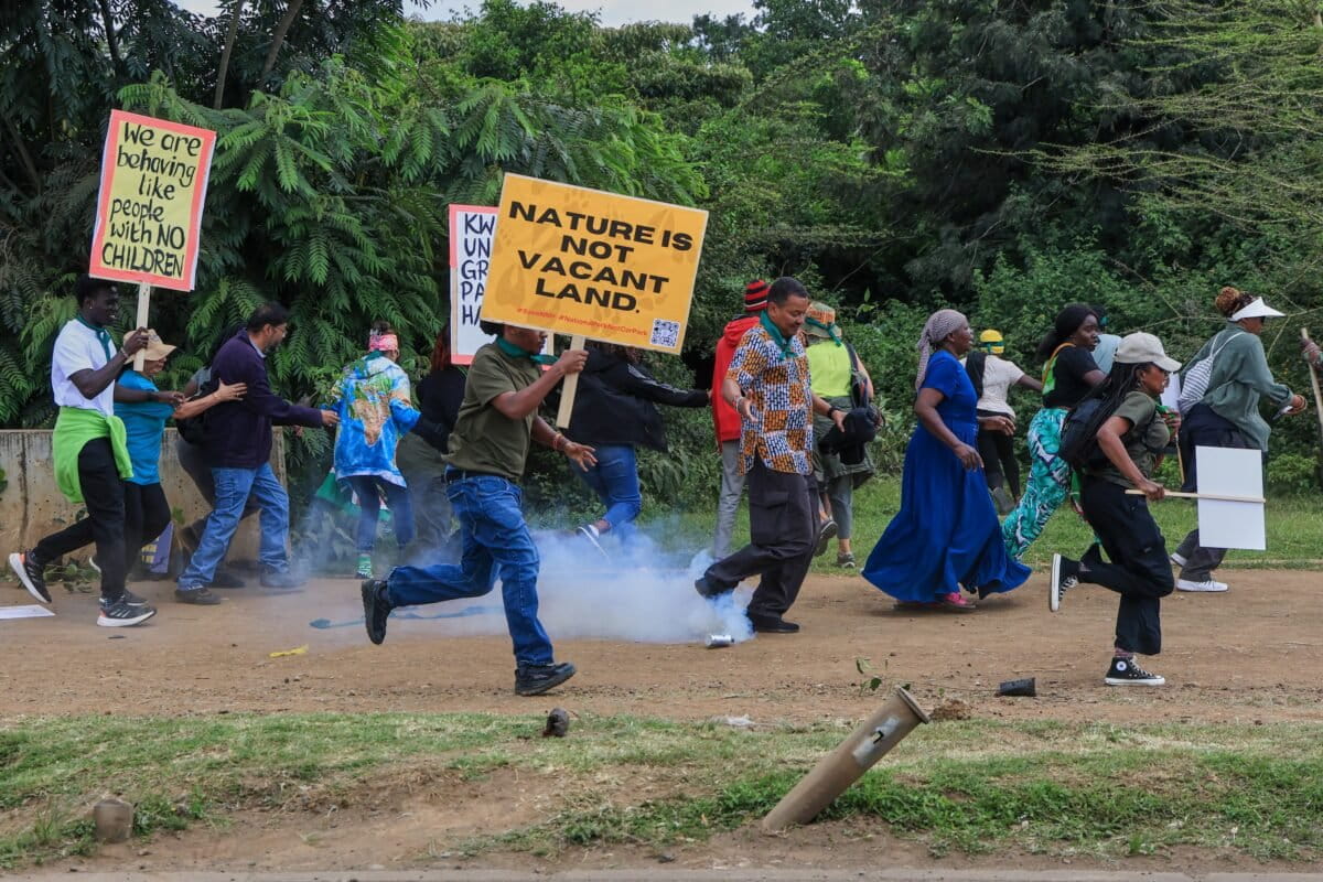 Kenya's Ex-Chief Justice Joins Fight for Nairobi Park - Image 2