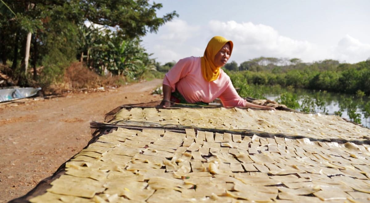 Indonesian Fishers Restore Crabs and Mangroves Together - Image 5