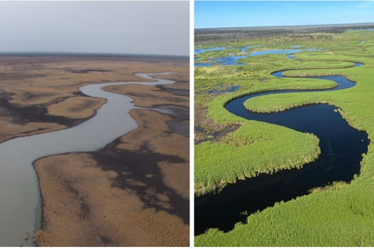 Indigenous Group Buys 81,000-Acre Wetland in Australia - Image 2