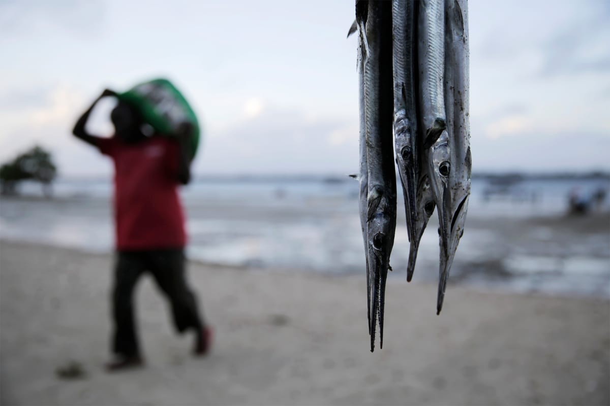 Kenyan fisher Mohamed Mwazigona sits beside fishing boat equipped with solar-powered tracker on coastal beach