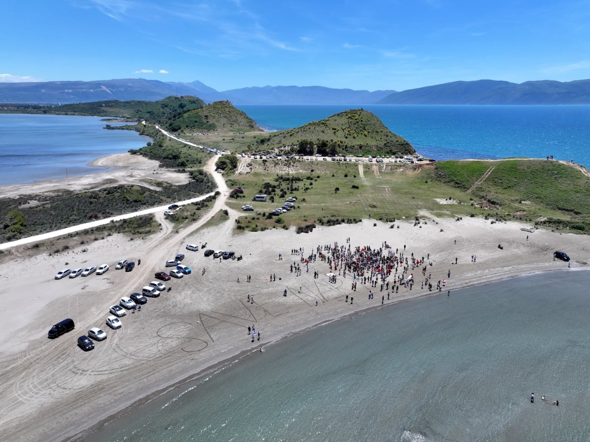 Albania's 'Flamingo Revolution' Halts Delta Development - Image 4