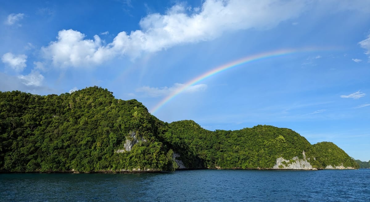 Aerial view of lush green Ulong Island in Palau surrounded by vibrant turquoise ocean waters