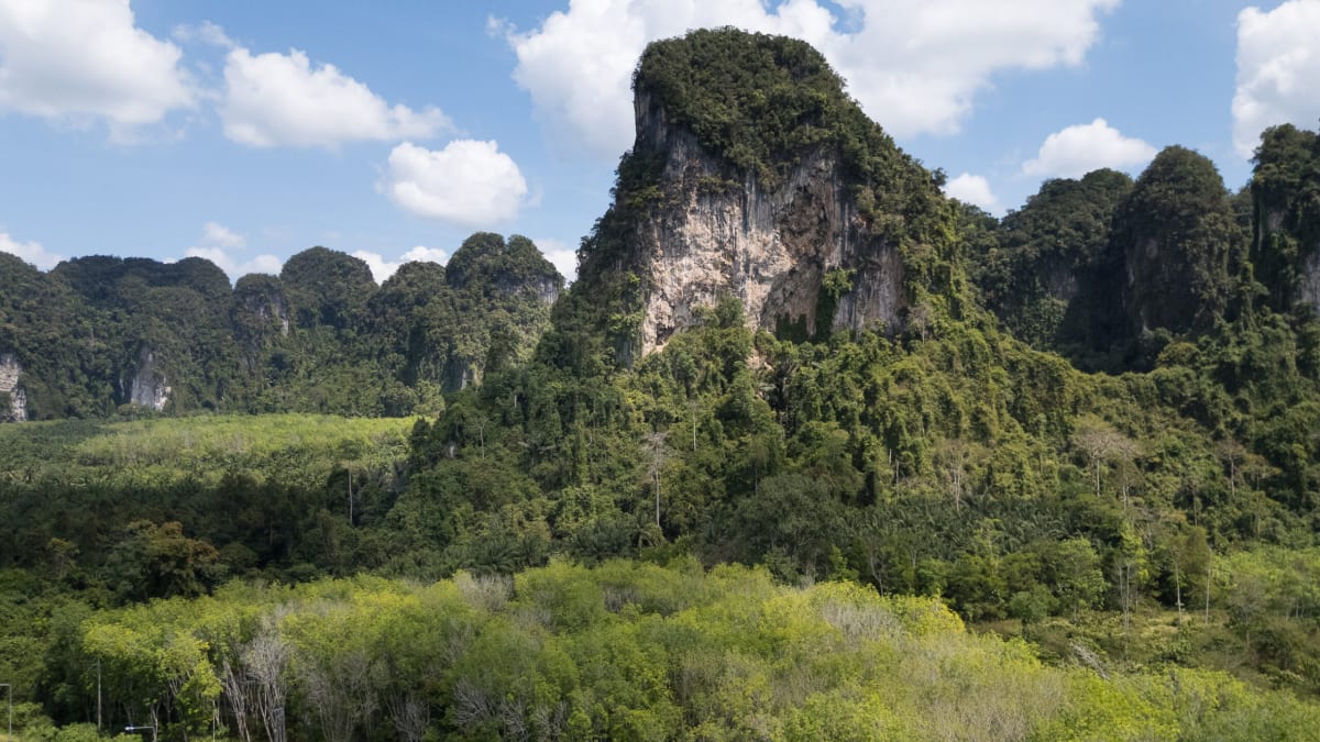 Thailand's Rubber Farmers Get Help Meeting Green Standards - Image 5