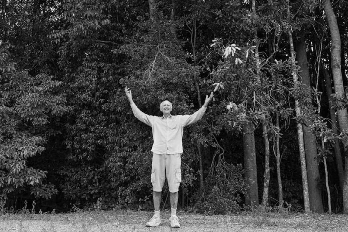 Banker Quits to Plant Millions of Trees in Australian Rainforest - Image 2