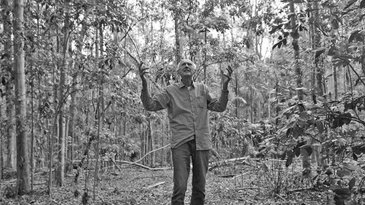 Banker Quits to Plant Millions of Trees in Australian Rainforest - Image 4