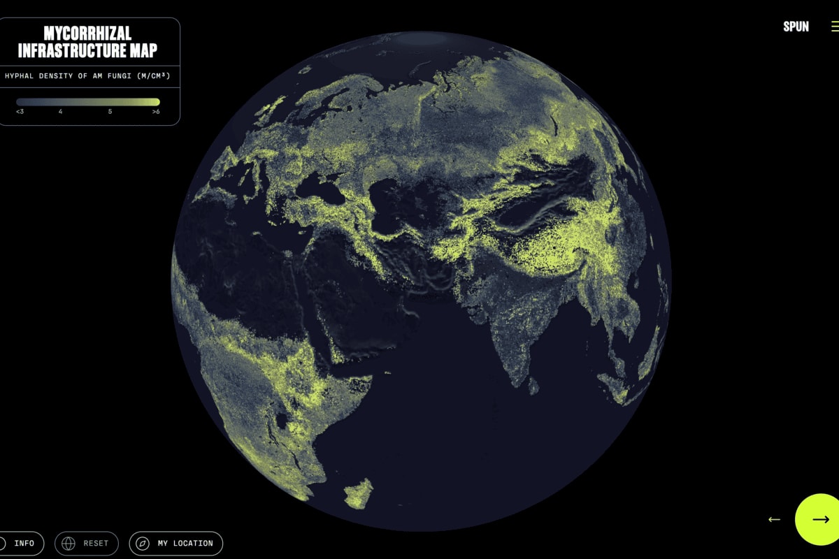 Interactive digital map showing global distribution of underground mycorrhizal fungal network density