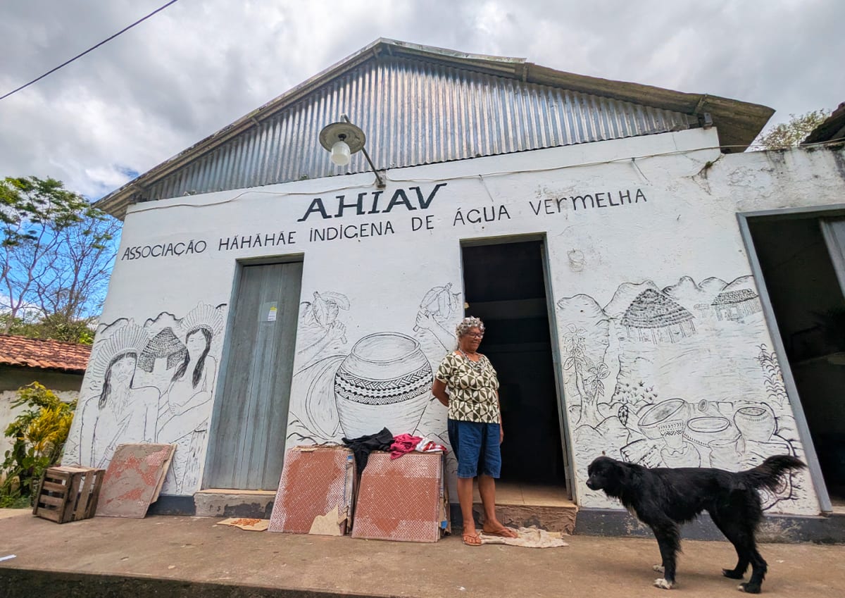World's First Indigenous Ethnobotanist Saves His People's Healing Knowledge - Image 5