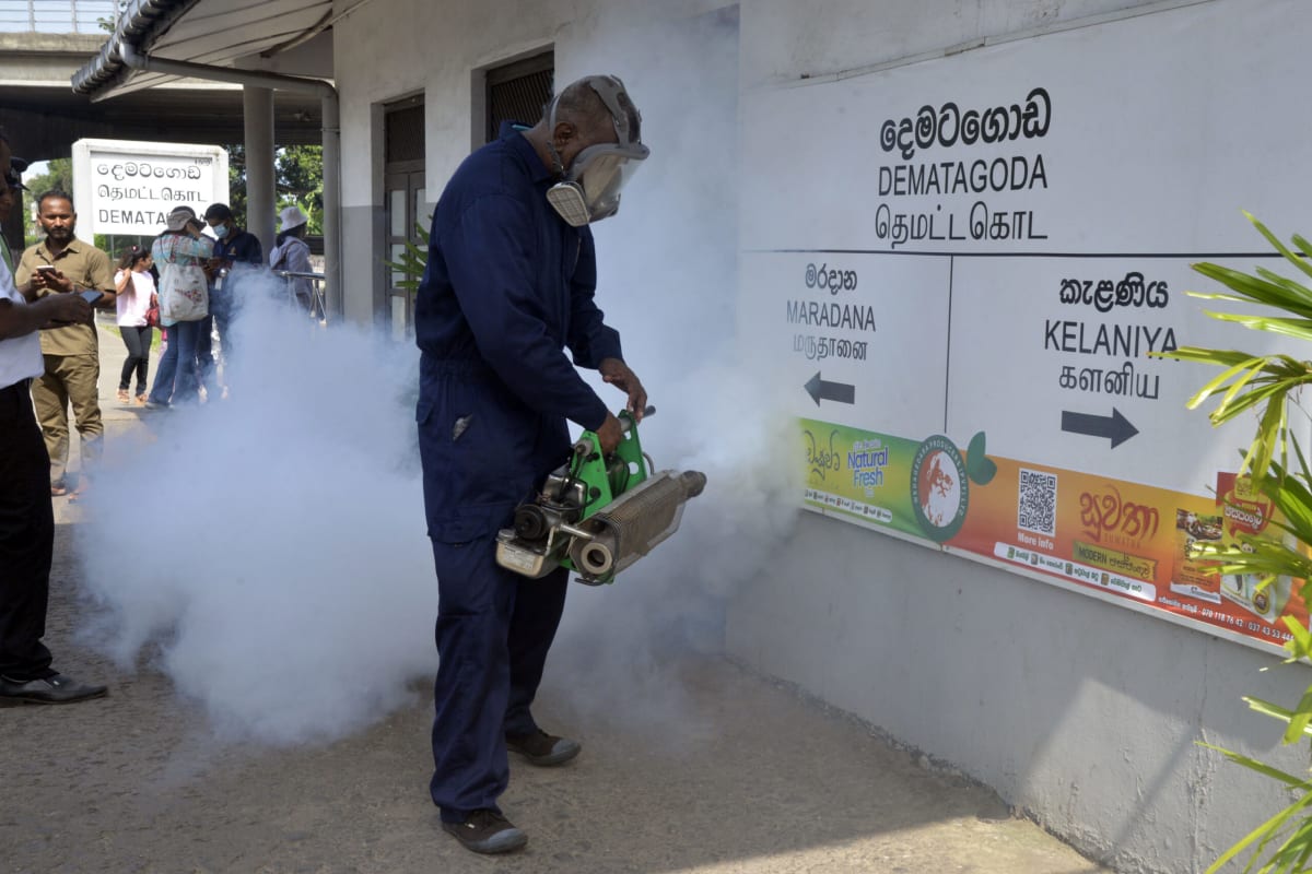 Sri Lanka Fights Dengue Surge with New Prevention Push