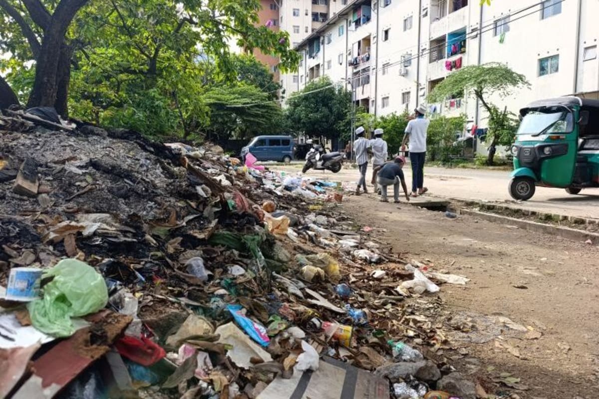 Sri Lanka Fights Dengue Surge with New Prevention Push - Image 5
