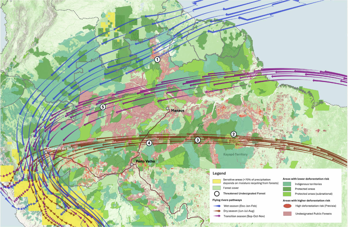 Brazil Conservation Plan Could Save Amazon's Flying Rivers - Image 5