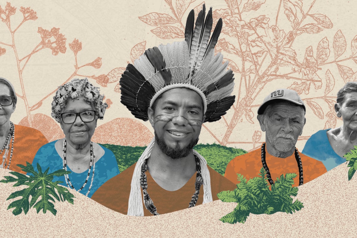 Hemerson Pataxó HãHãHãi holding medicinal plants in Brazil's Caramuru Indigenous Territory