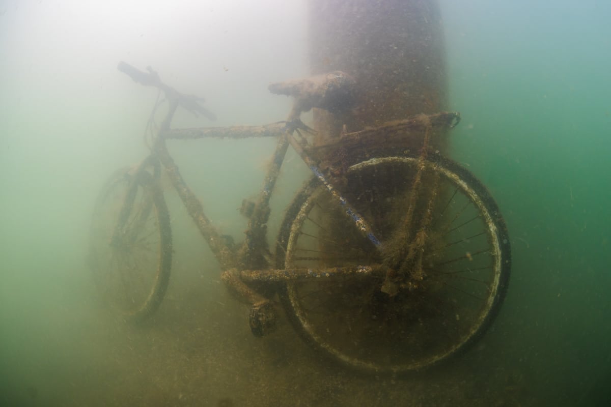 Vancouver Activists Push to Transform Polluted Inlet - Image 4