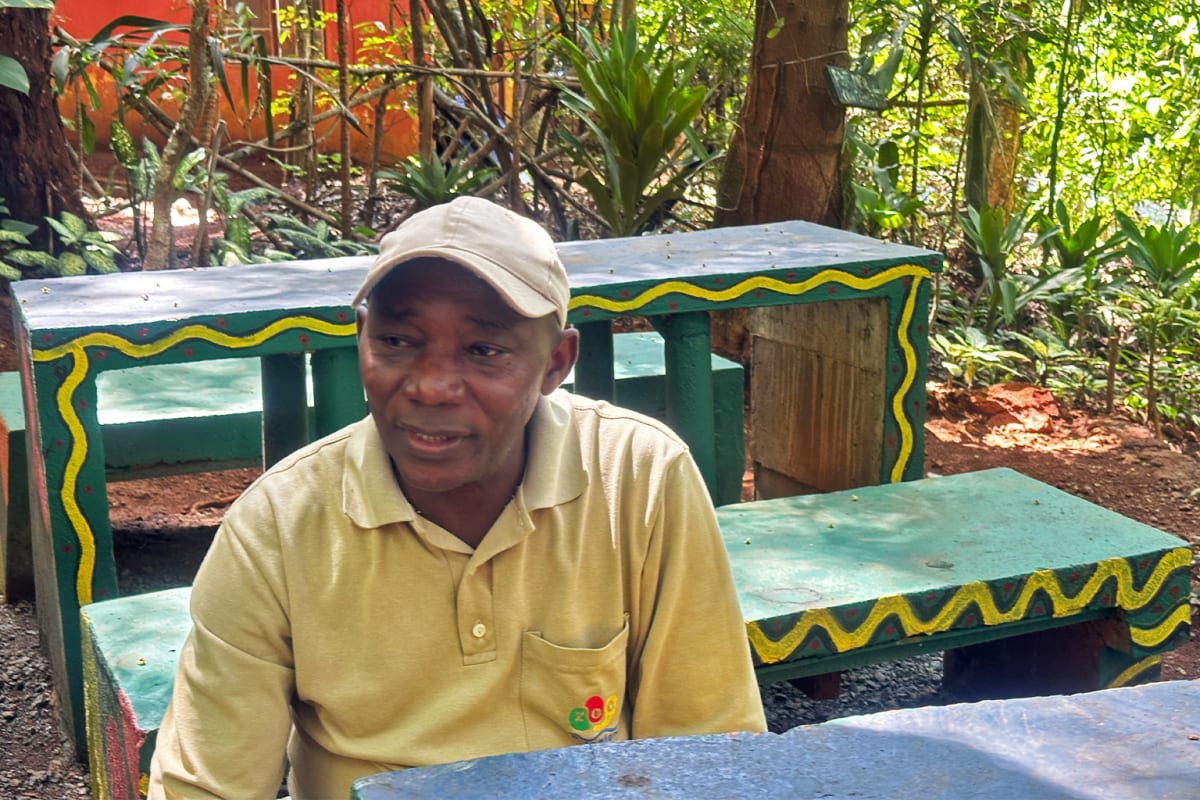 Sierra Leone Sanctuary Saves 100+ Endangered Chimps - Image 3