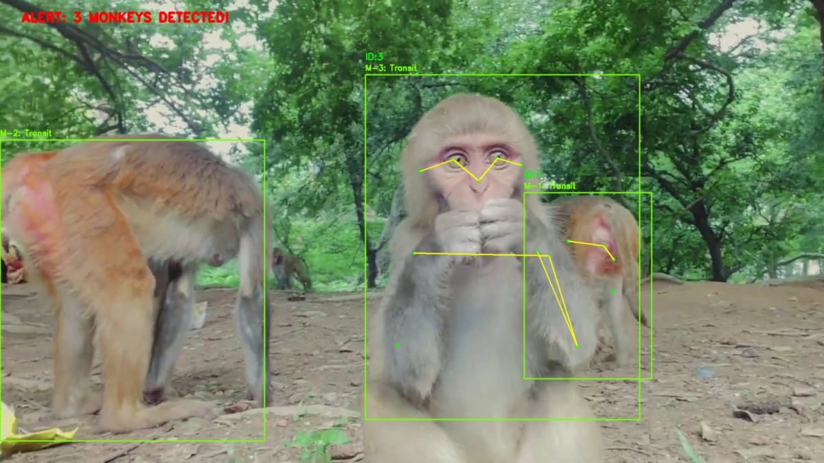 Nepal Tests AI to Guard Farms From Crop-Raiding Monkeys - Image 5
