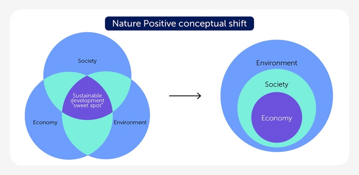 New Framework Offers Path to Reverse Biodiversity Loss - Image 5