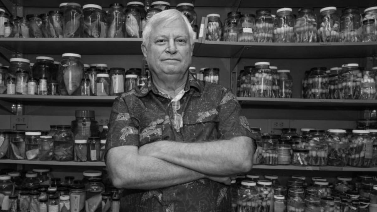 Marine biologist Kent Carpenter underwater conducting reef research in the Philippines