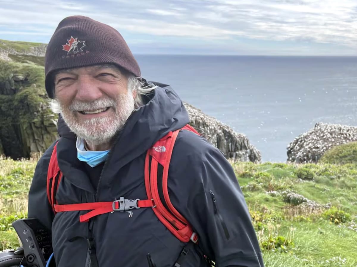 Scientist Spent 50 Years Proving Seabirds Know Ocean Health - Image 5