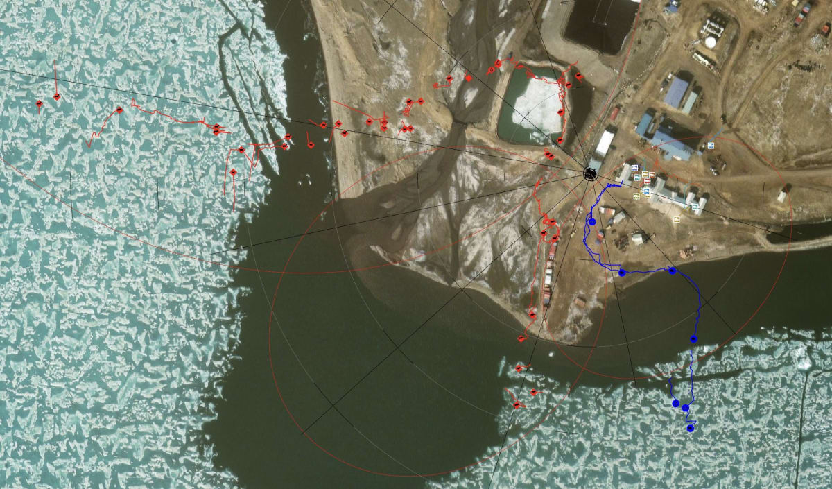AI 'Bear-dar' Protects Arctic Communities From Polar Bears - Image 5