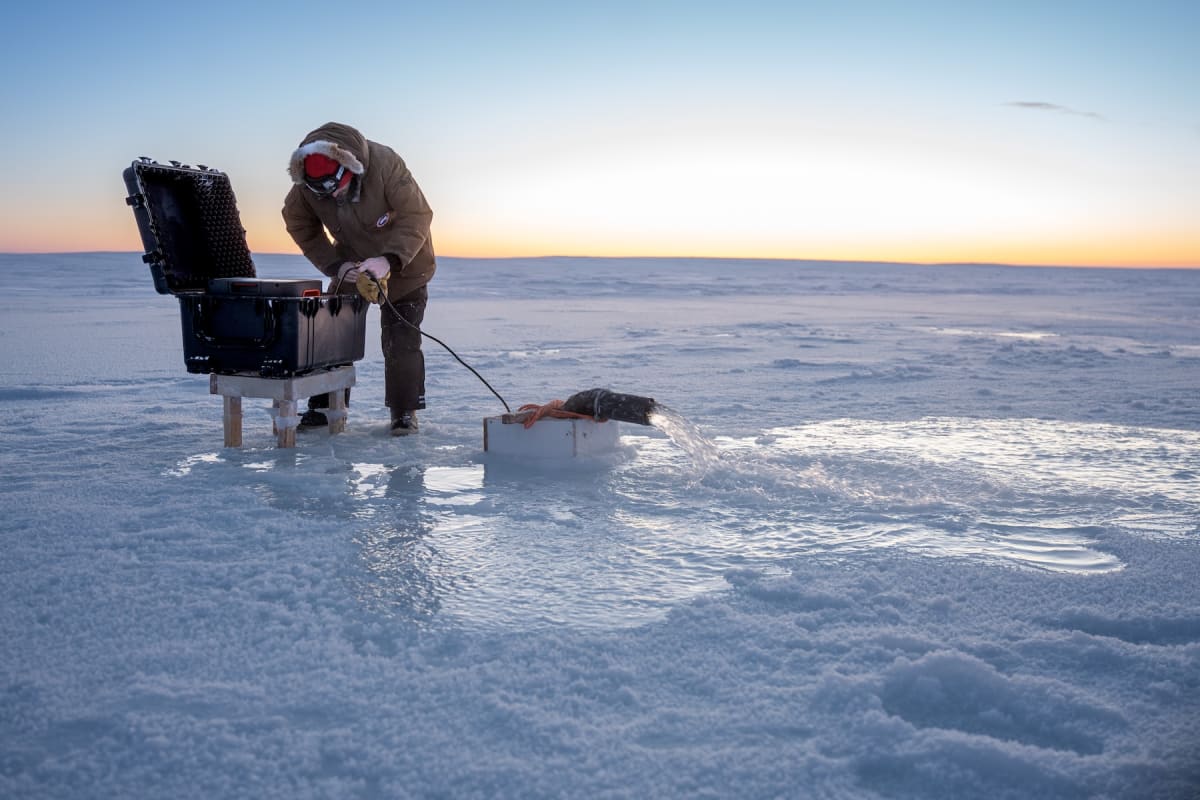 White treated sea ice standing above blue melt ponds in Cambridge Bay Arctic waters