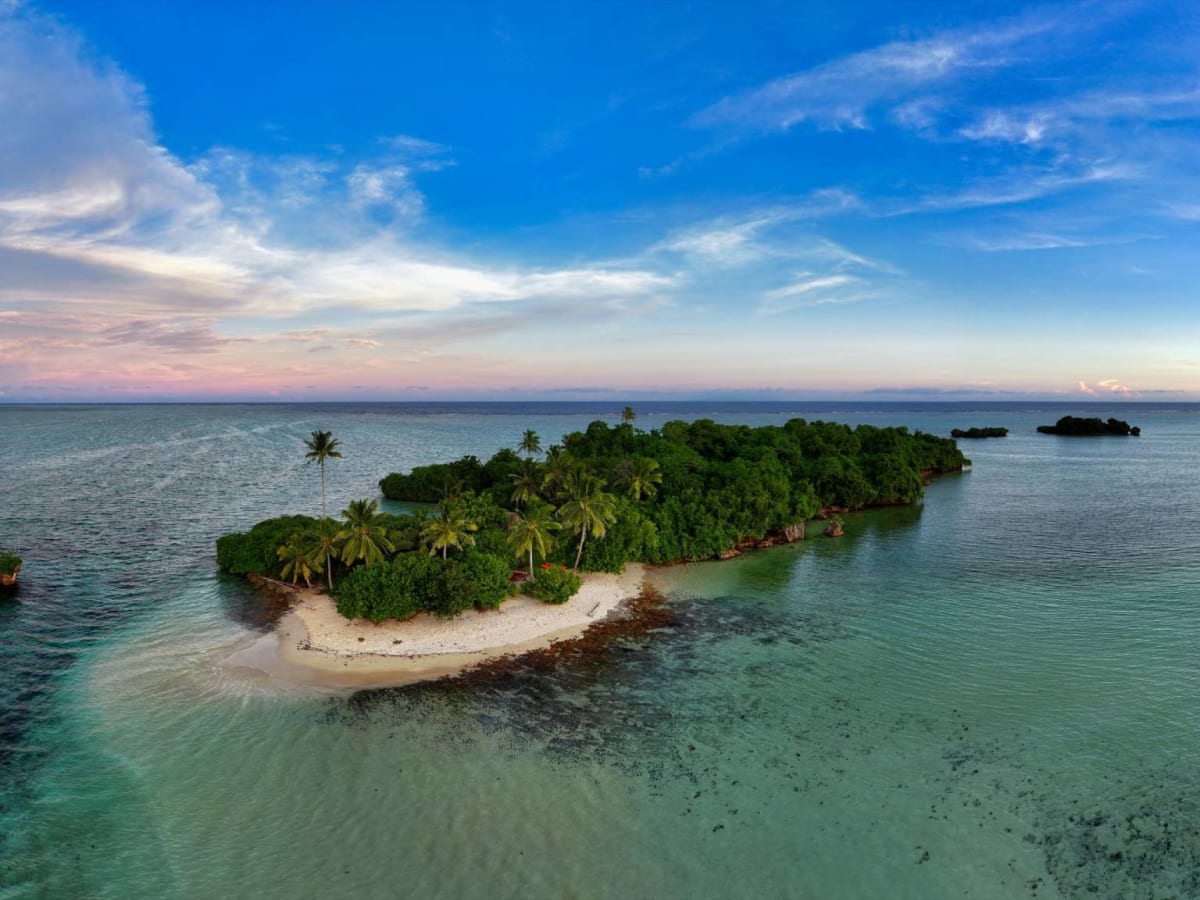 Pacific Islands Unite to Protect Massive Ocean Corridor - Image 5