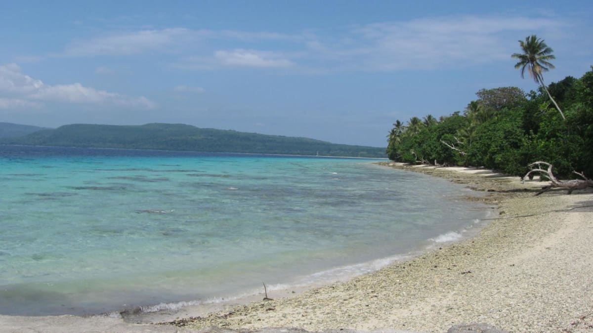 Pacific Islands Unite to Protect Massive Ocean Corridor - Image 4