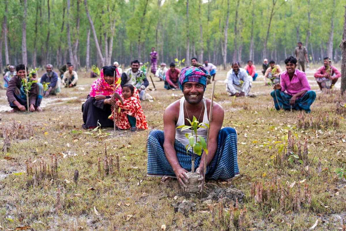 Bangladesh to Plant 250 Million Trees in Five Years