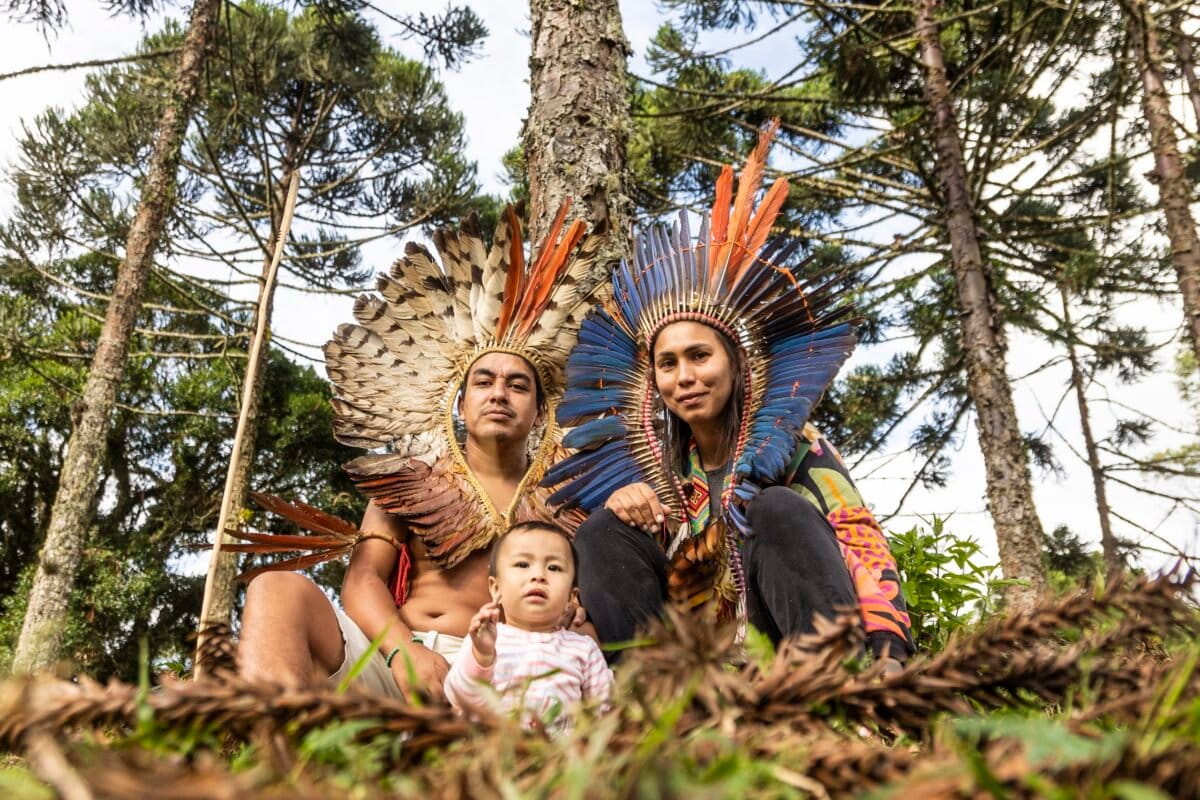 Indigenous Tribe Plants 100K Trees to Save Sacred Species - Image 2