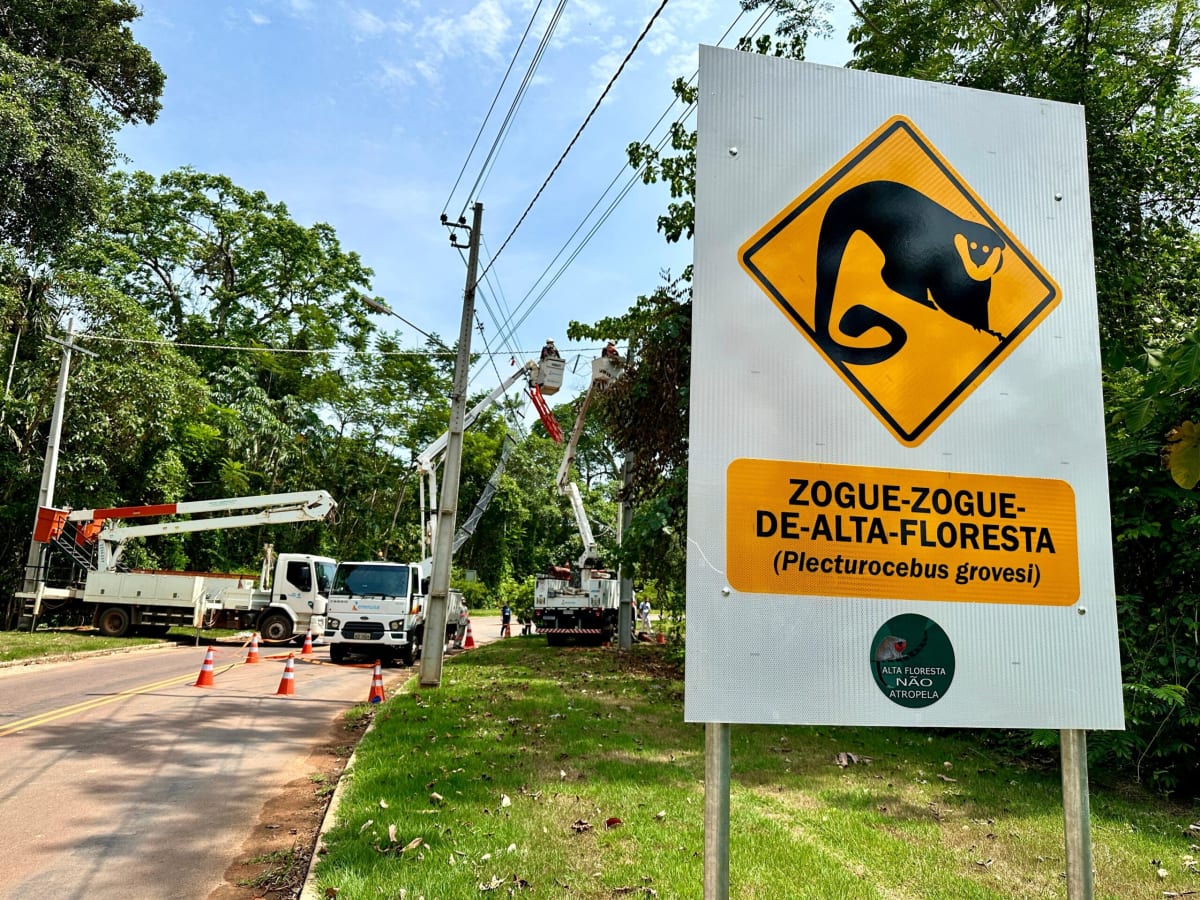 Amazon Rope Bridges Enable 15,000 Wildlife Crossings - Image 4