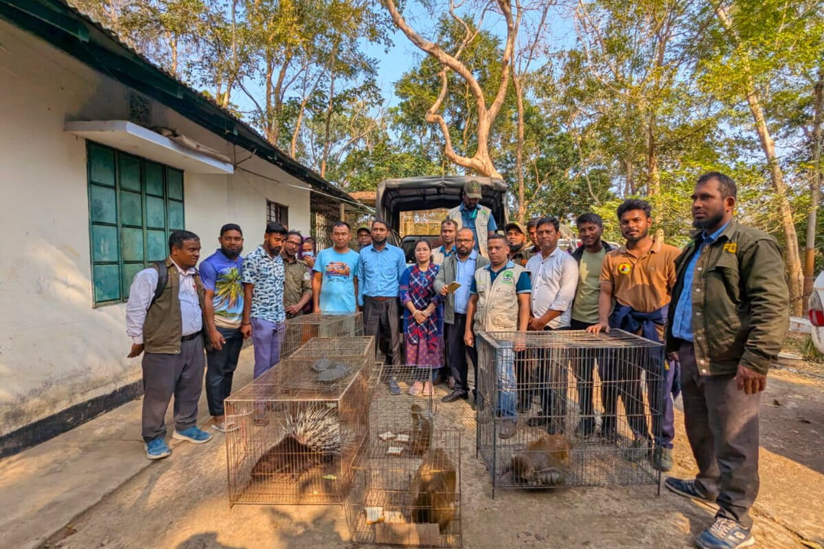 Bangladesh Wildlife Volunteers Help Rescue 61,000 Animals - Image 2