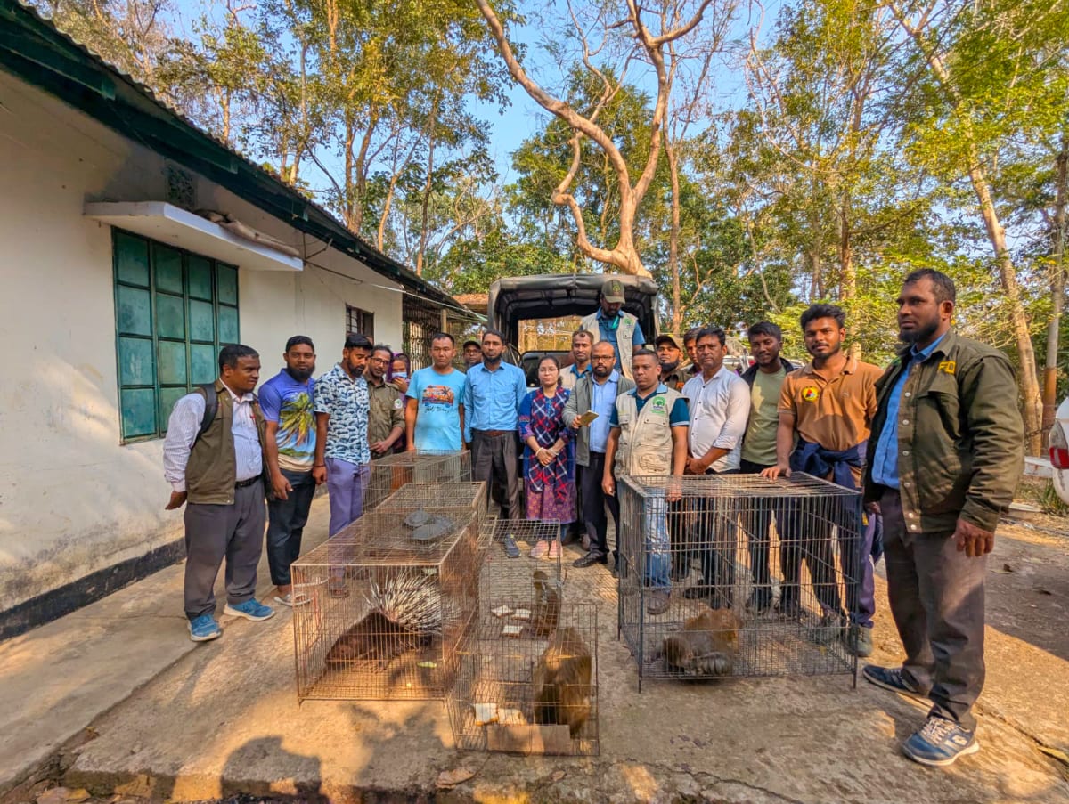 Bangladesh forest rangers and volunteers posing together after successful wildlife rescue operation